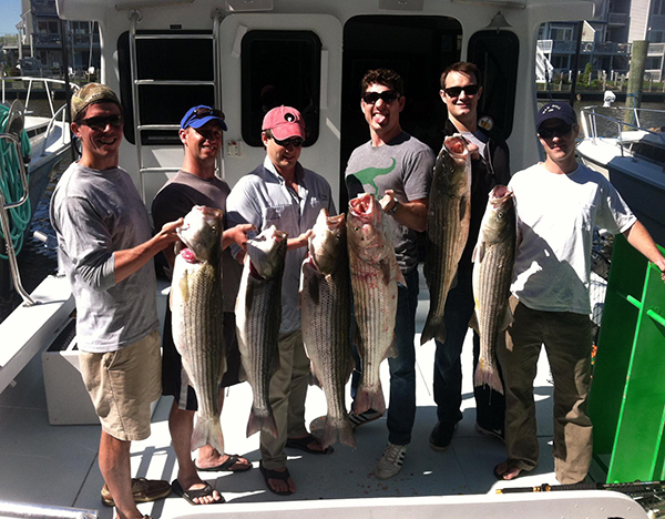 Chesapeake Bay Sportfishing Charters